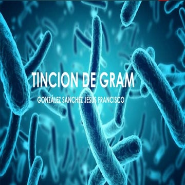 TINCION DE GRAM CONTENIDO TEMATICO 1.1 DEL PROGRAMA