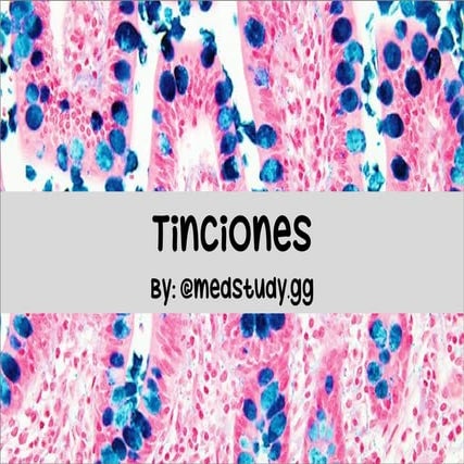Tinciones histologicas medicina UNLP.pdf