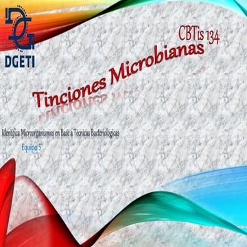 Tinciones microbianas