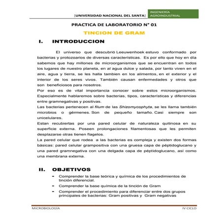 Tincion gram