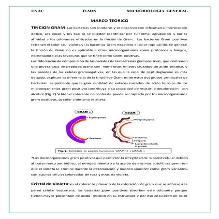 imforme de Tincion gran