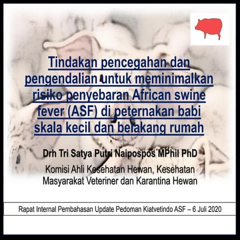 DAMPAK DAN PENGENDALIAN PENYAKIT ASF PADA PETERNAKAN BABI.pptx
