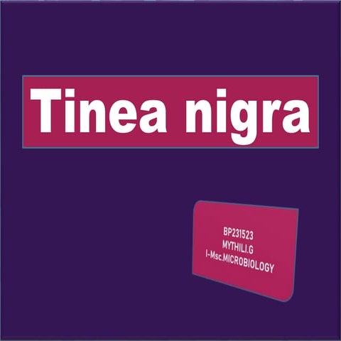 Tinea nigra (Hortaea werneckii)ppt .pptx