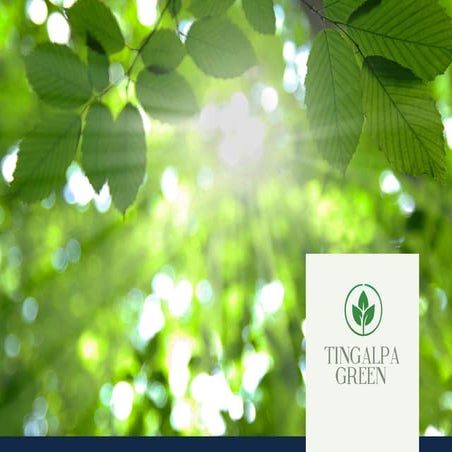 Tingalpa green-new-townhouse-development-brochure