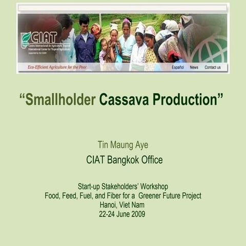 Tin Smallholder Cassava Production Hanoi June 09