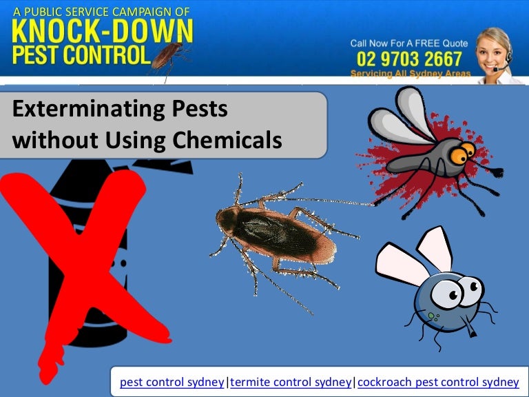 Updates on Exterminating Pests without Using Chemicals