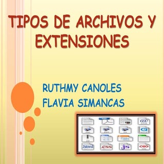 Tipos de archivos y extensiones flavia