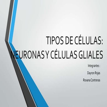 Tipos de celula neuranas y celulas gliales