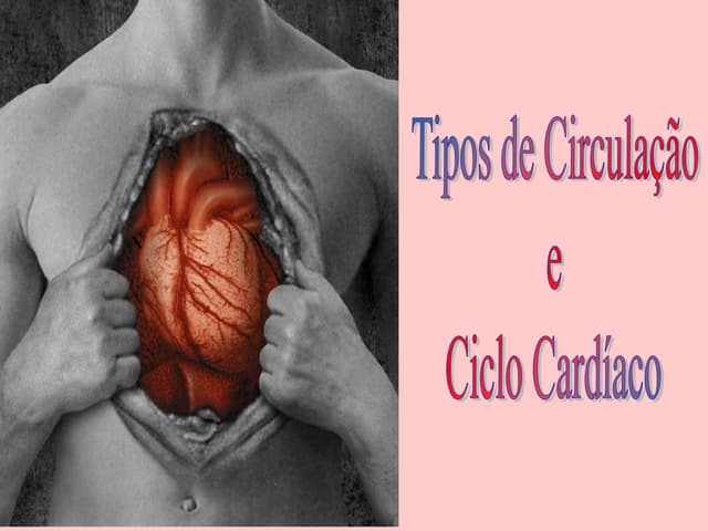 Tipos De CirculaçãO