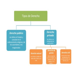 Tipos De Derecho