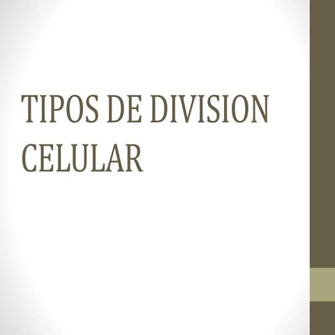 Tipos de division celular