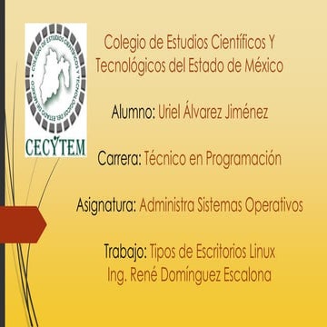 Tipos de escritorios