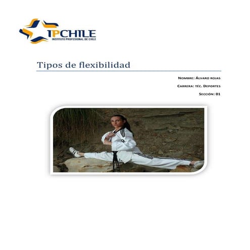 Tipos de flexibilidad