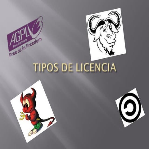 Tipos de licencia