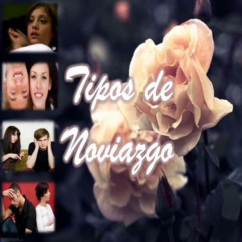 Tipos de noviazgo