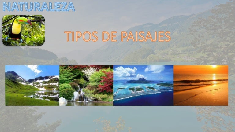 Tipos de paisajes