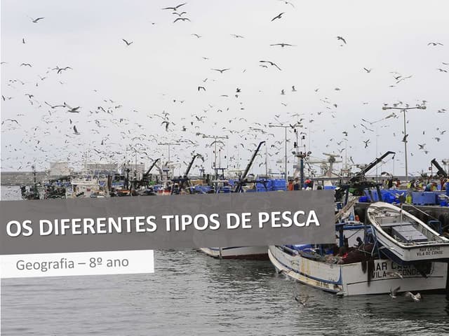 Tipos de Pesca