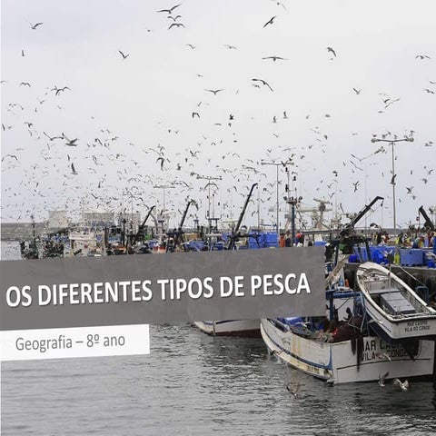 Tipos de Pesca