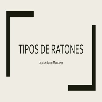 Tipos de ratones