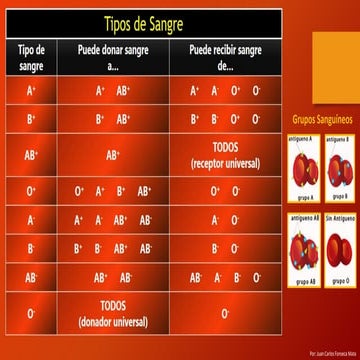 Tipos de sangre en seres humanos - Hematología