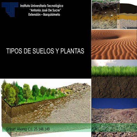 Suelos rocosos | PDF