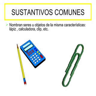 Tipos De Sustantivos