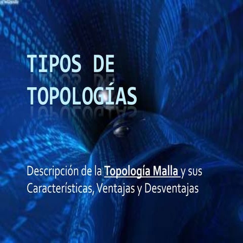 Tipos De Topologias | DOC