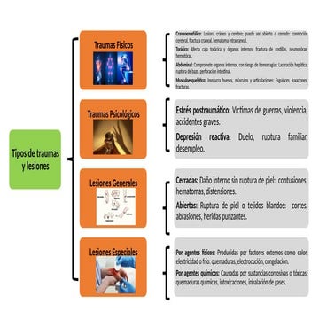 Tipos de Traumas y Lesiones: Físicos, Psicológicos y Especiales | PPTX