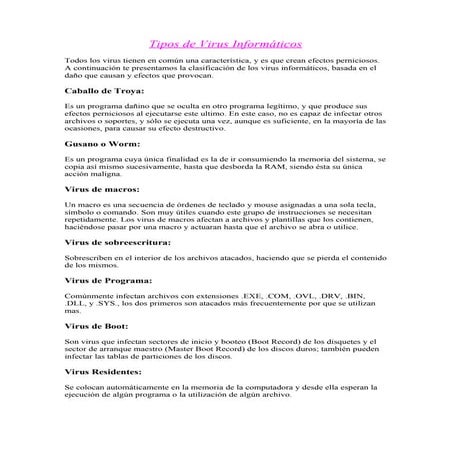 Tipos De Virus InformáTicos