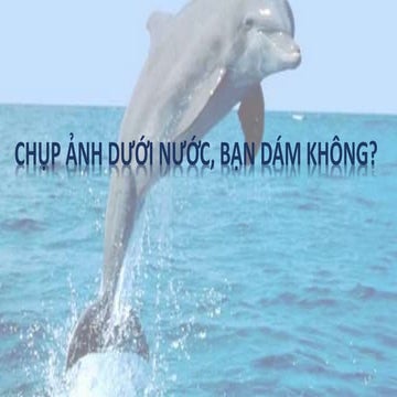 Development pro forma 1.1 là công cụ hỗ trợ giúp bạn lập kế hoạch phát triển dự án một cách chính xác và hiệu quả. Hình ảnh liên quan đến công cụ này sẽ giúp bạn hiểu rõ hơn về tính năng và các lợi ích mà nó mang lại cho các nhà đầu tư và doanh nghiệp.
