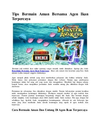 Tips bermain aman bersama agen ikan terpercaya