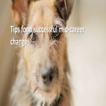 Tips for a successful mid career change