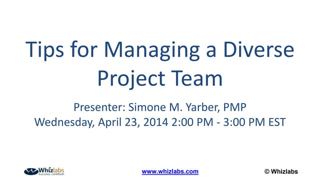 Tips For Managing A Diverse Project Team - PMP Webinar