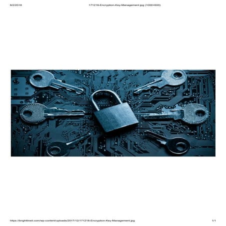 6 | PDF