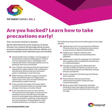 FREE Cyber Security Awareness Posters-Social Engineering part 2 | PDF
