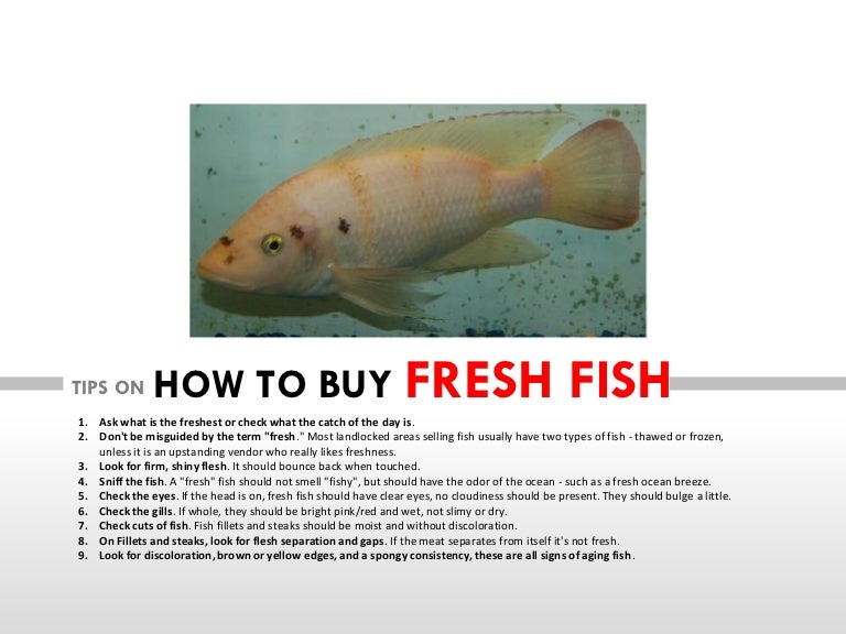 Tips on how to buy fresh fish
