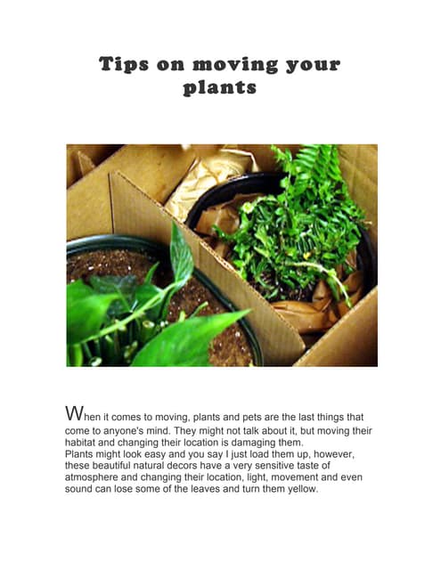 Top tips to take care of topiary plants | PDF