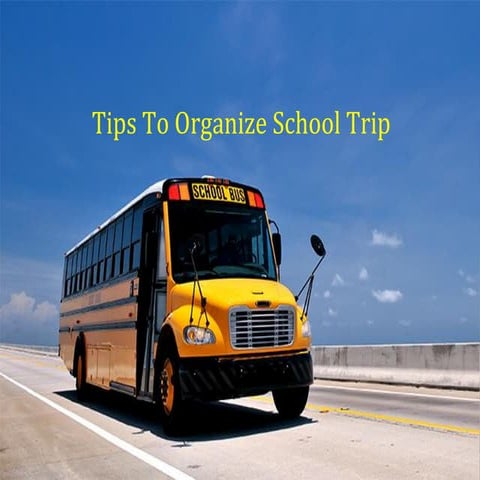 Tips To Organize School Trip