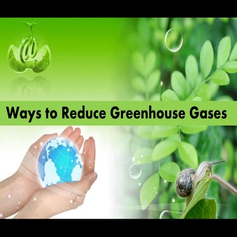 Top 10 Tips to Reduce Greenhouse Gases