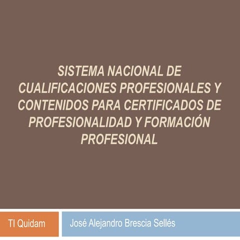 TI Quidam / José Alejandro Brescia Sellés