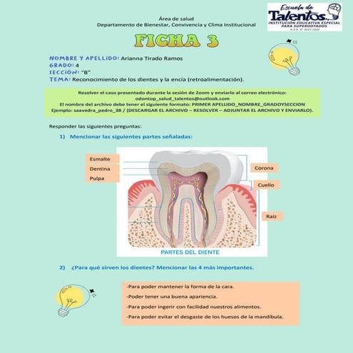 Reconocimiento de los dientes y la encía 