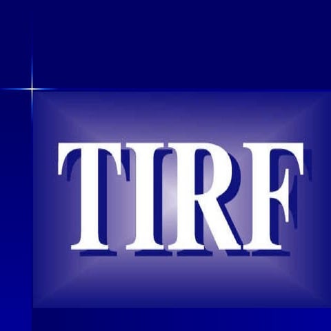 TIRF at 2010 CATESOL Convention - Dr. Kathi Bailey & Ryan Damerow