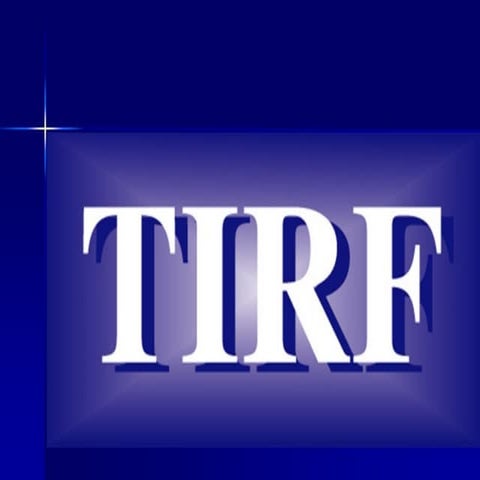 TIRF at 2014 TESOL - MALL Panel Presentation 