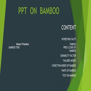 Bamboo Prototyping Product Under Civil Module