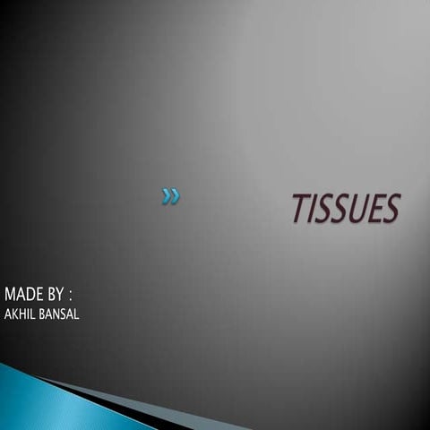 Tissue | PPTX