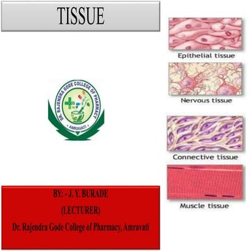 TISSUE.pptx