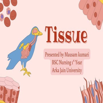 Tissue - all type of tissues in detail anatomy and physiology | PDF