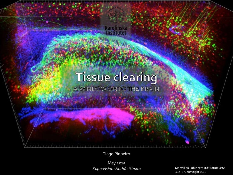 Tissue clearing Field Overview
