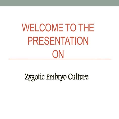 Zygotic Embryo culture