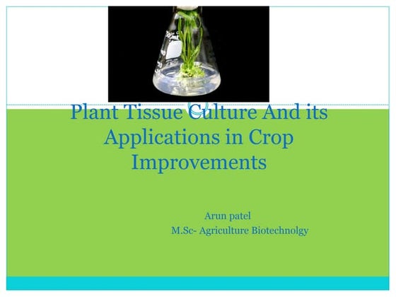 Plant tissue culture | PPTX | Biotech and Biomedical Industry | Industries